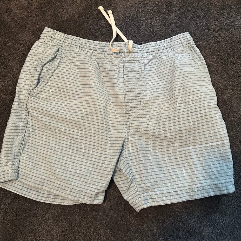 Jcrew Dock Shorts Blue w/ Stripe